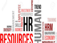 Human Resource Assignment UK