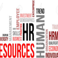 Human Resource Assignment UK